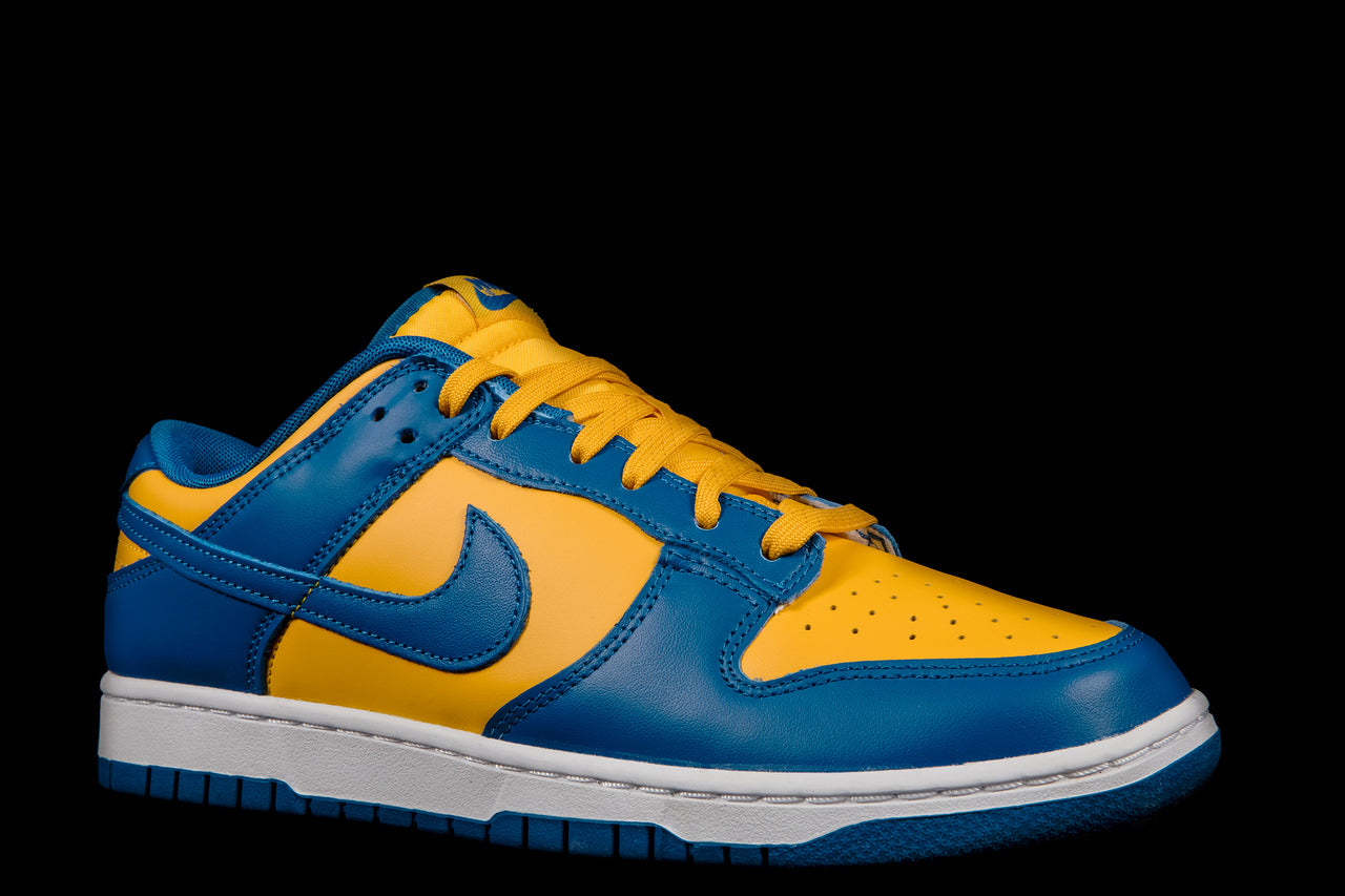 NIKE DUNK LOW RETRO