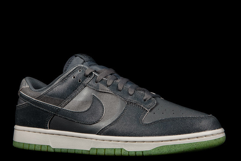 NIKE DUNK LOW RETRO PRM