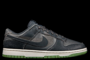 NIKE DUNK LOW RETRO PRM