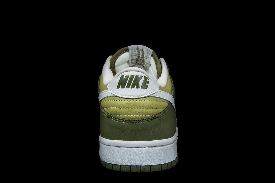 NIKE WOMENS DUNK LOW