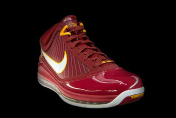 NIKE AIR MAX LEBRON VII PE