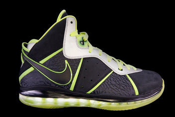 NIKE LEBRON VIII PE