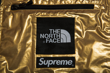 SUPREME THE NORTH FACE METALLIC MOUNTAIN BIB PANT