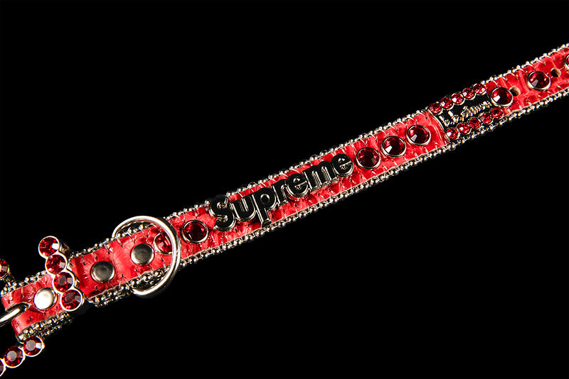 Projectblitz Fridays ⚡️ - SUPREME B.B. SIMON STUDDED DOG COLLAR