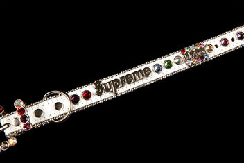 SUPREME B.B. SIMON STUDDED DOG COLLAR