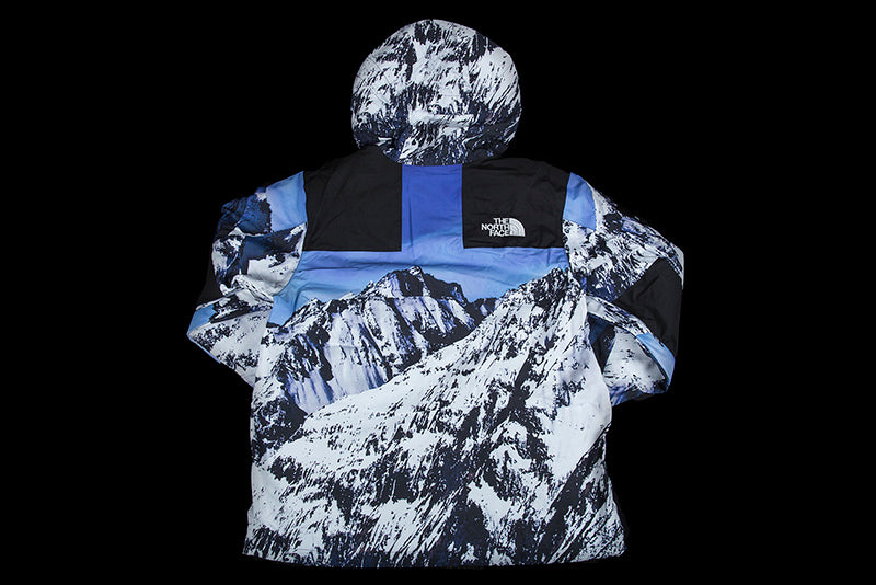 SUPREME THE NORTH FACE MOUNTAIN PARKA JACKET