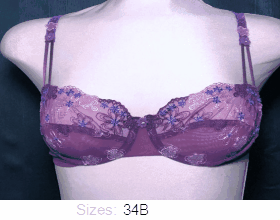 Change Sheer and lace full cup bra