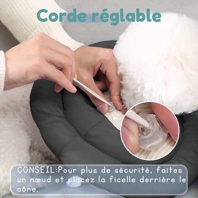 collorette-chien-corde-reglable
