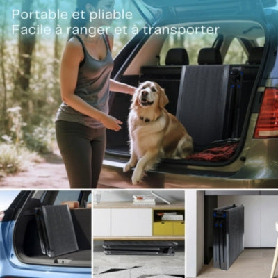 rampe-pour-chien-pliable