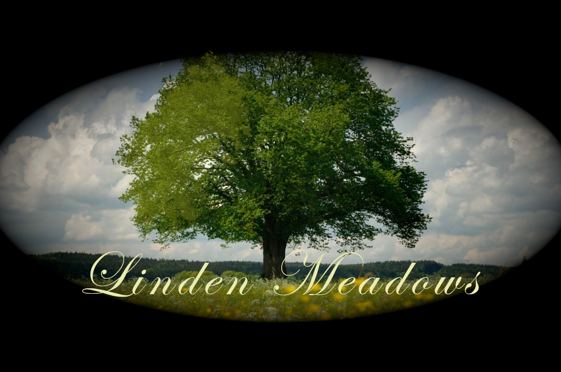 Linden Meadows