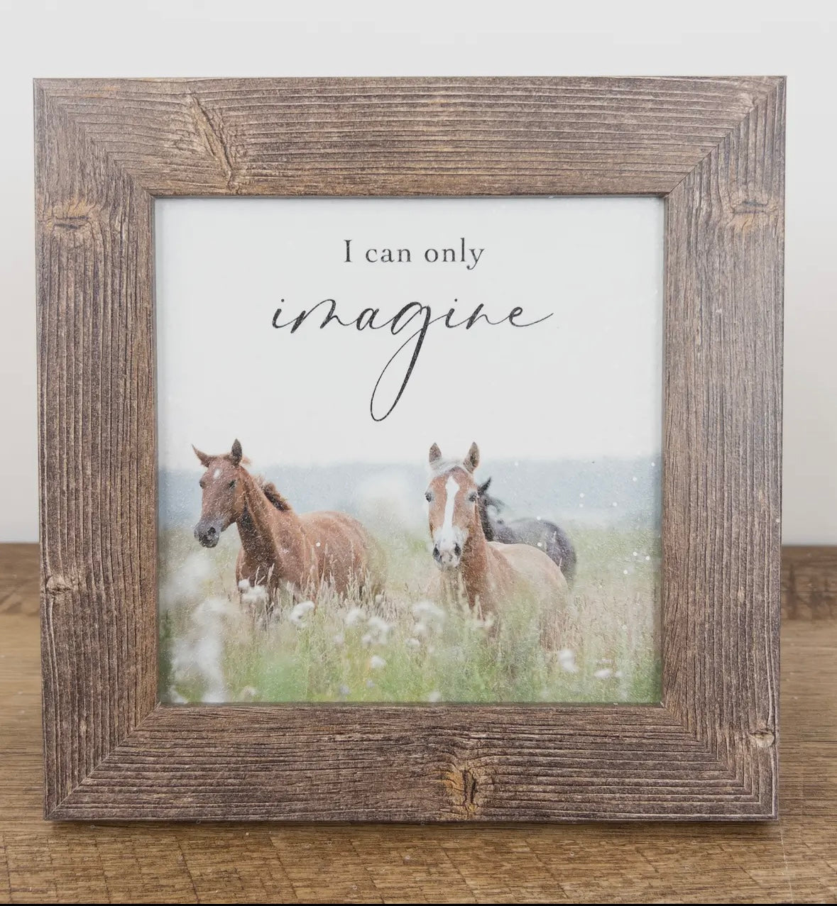 I Can Only Imagine Wall Art