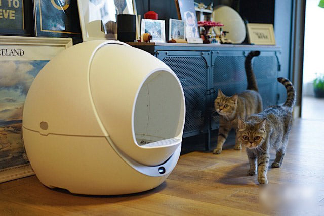 Petree Automatic Smart Cat Litter Box Review