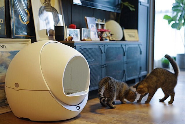 Petree Automatic Smart Cat Litter Box Review