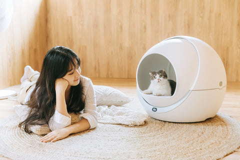 Self Cleaning Litter Box For Multiple Cats and Large Cats