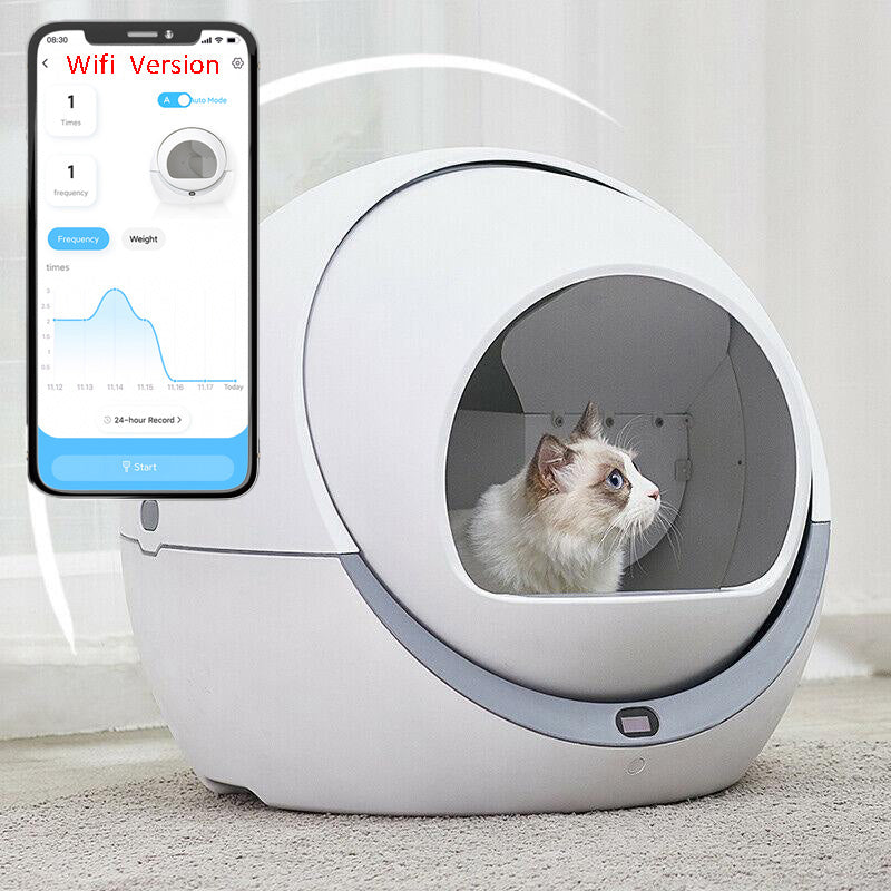 Best Affordable Automatic Cat Litter Box 2021