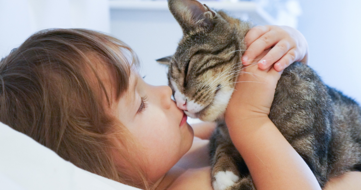 Possible Reasons Your Cat Is Suddenly Affectionate With You