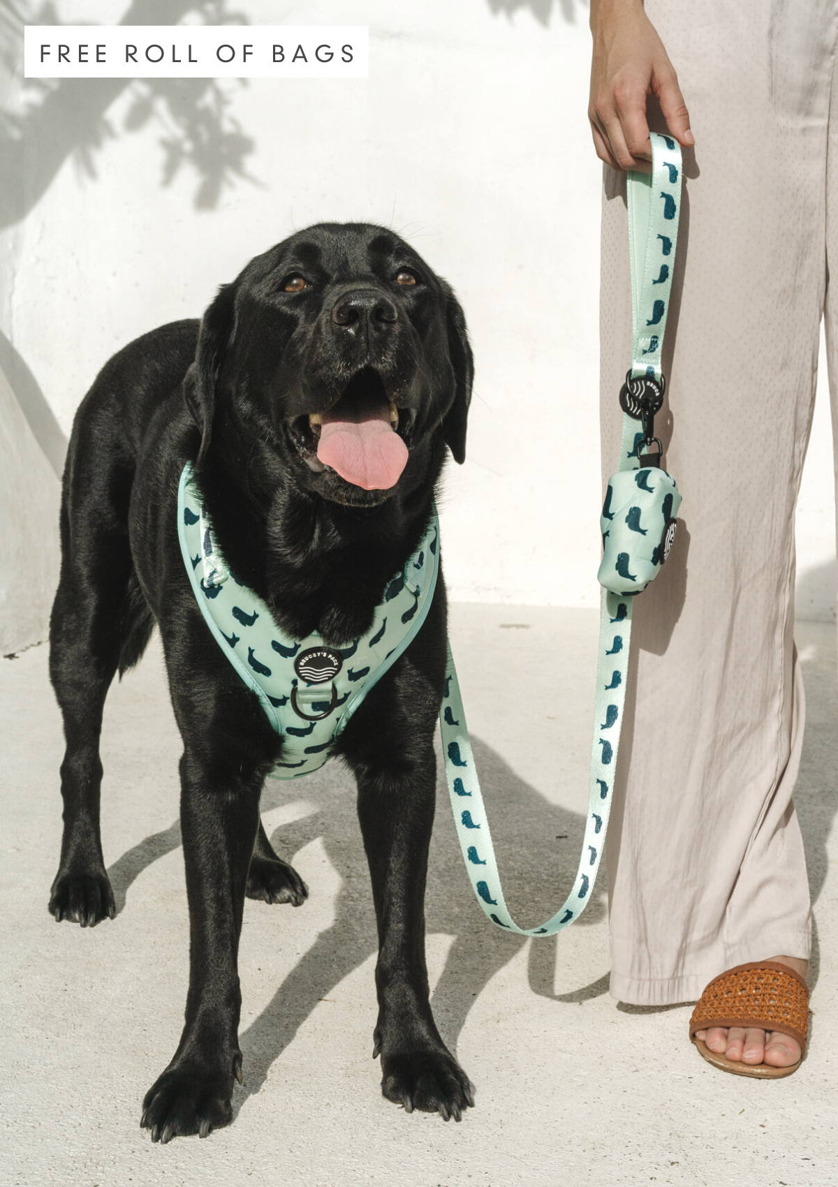 PSK PET MART 212 cm Dog Martingale Leash Price in India - Buy PSK PET MART  212 cm Dog Martingale Leash online at