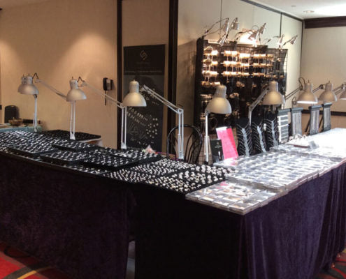 SilviaFindings display booth at the The Gem Expo, Toronto - July 24-26, 2015