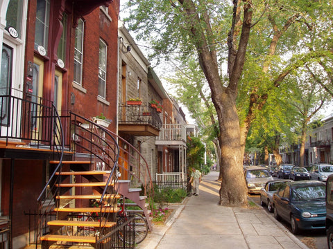 le plateau de Mont Royal