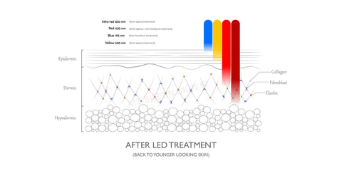 How does LED Light Therapy Work