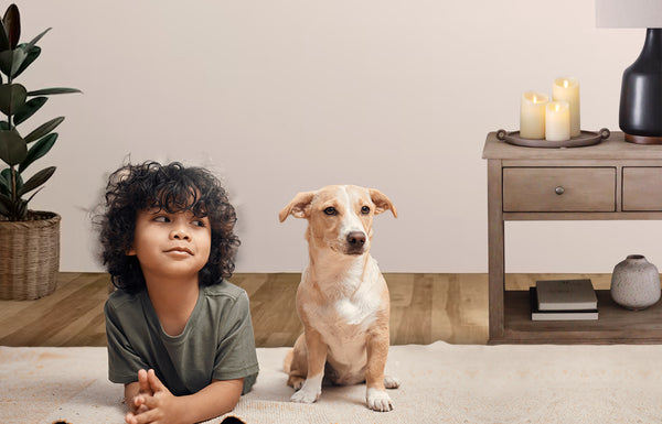 luminara flameless candles safe for kids and pets