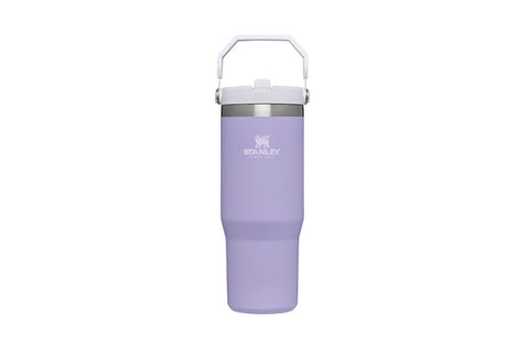 Adventure Quencher Travel Tumbler | 40 oz | Stanley Lilac