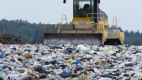 These Products Still Meet Australia’s Biodegradable Standards