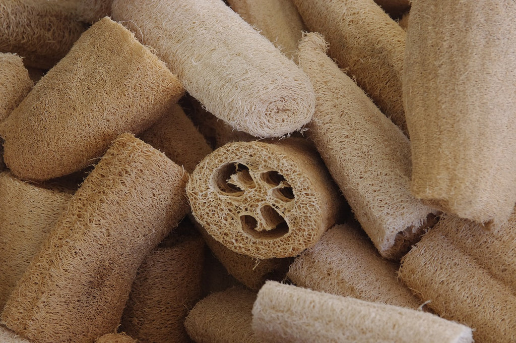 Esponja de luffa