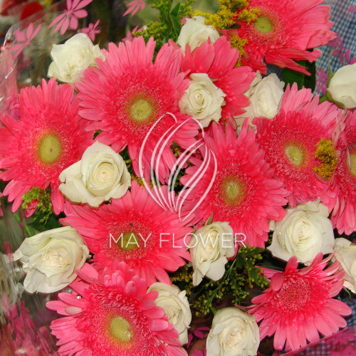 Gerbera Rose Hand Bunch – May Flower