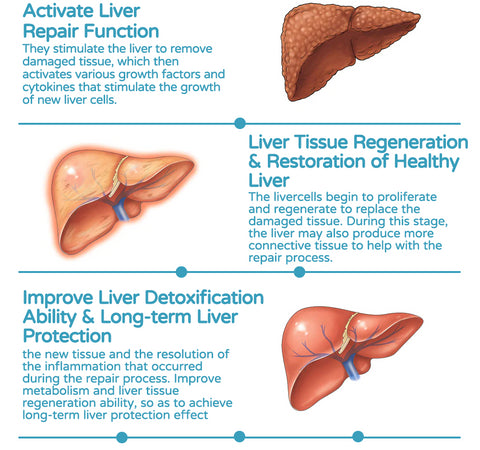 Quyxen™ Liver Detox and Repair Patch