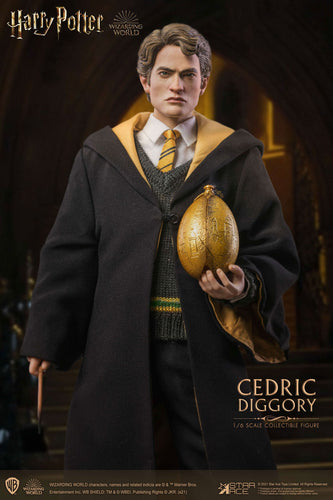 Harry Potter My Favourite Movie Action Figure 1/6 Cedric Diggory Deluxe Version 30 cm