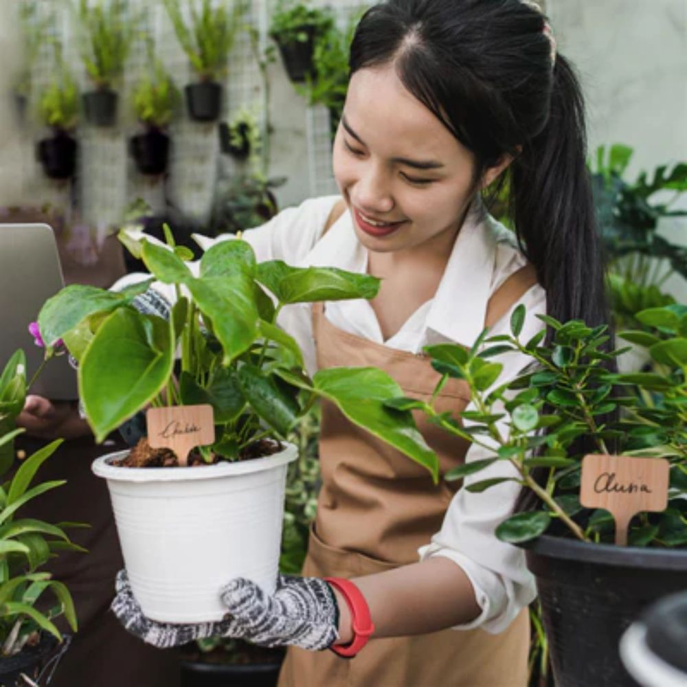 Wetterfeste Pflanzschilder für den Garten