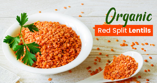 red split lentils bulk