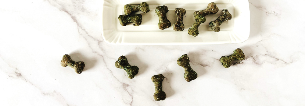 Die Spirulina-Hundesnacks von Barkery Fresh Breath