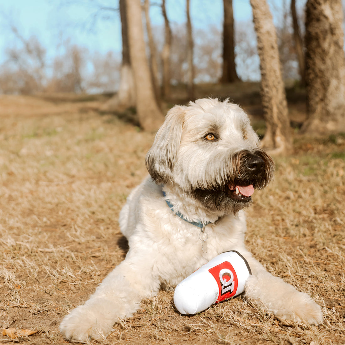 QuikTrip x YETI Rambler® 18 oz Bottle