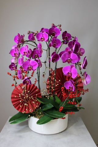 Premium Orchid Arrangement Vancouver
