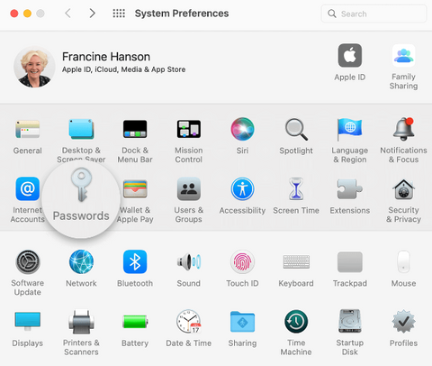 Find Apple ID Password Without Resetting It on Mac Using System Preferences