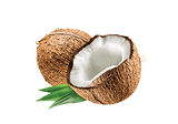 Coconut Oil