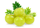 Amla Oil