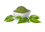 Green Tea Extract