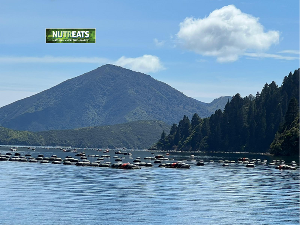 Nutreats mussel farming