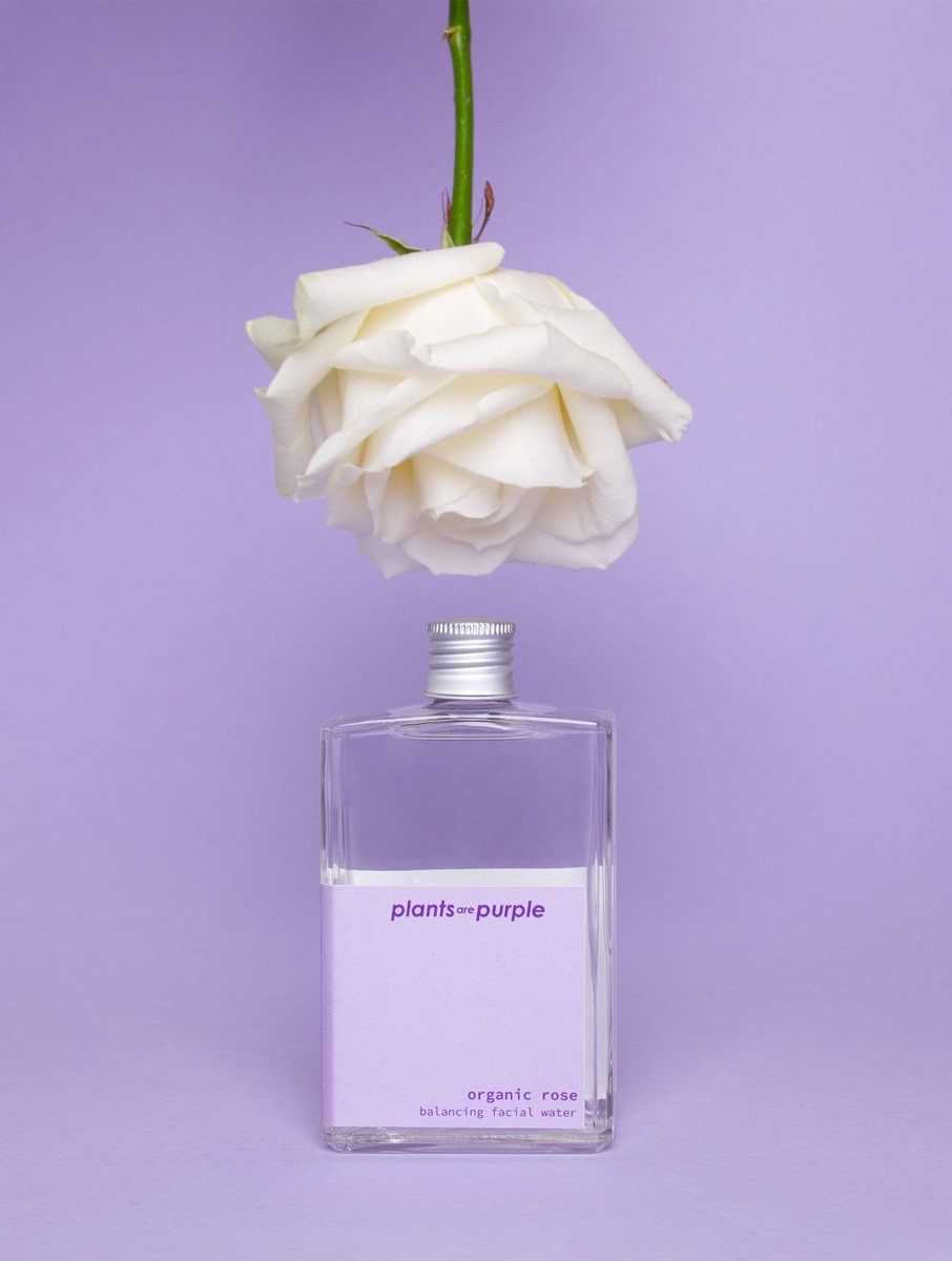 Organic Rose - Plants are Purple NL product image