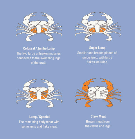 different types of crab meat graphic