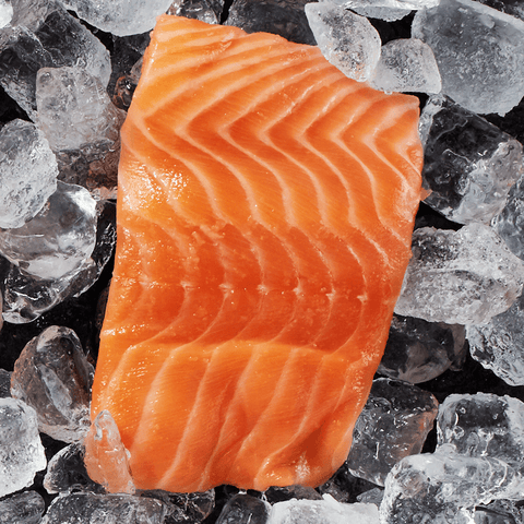 naked norwegian salmon on ice