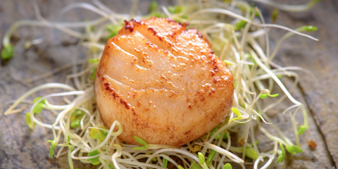 seared scallop served on fresh greens