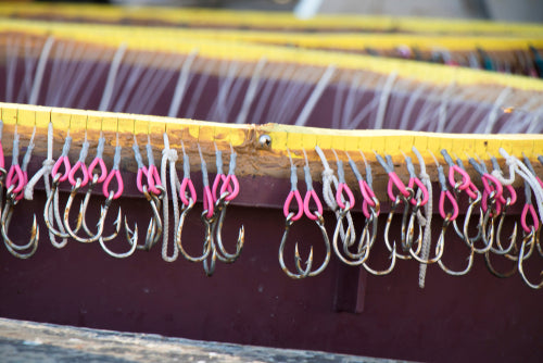 Longline fishing gear hooks.