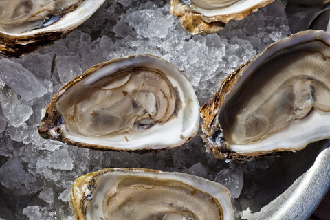 Fresh raw oysters on ice