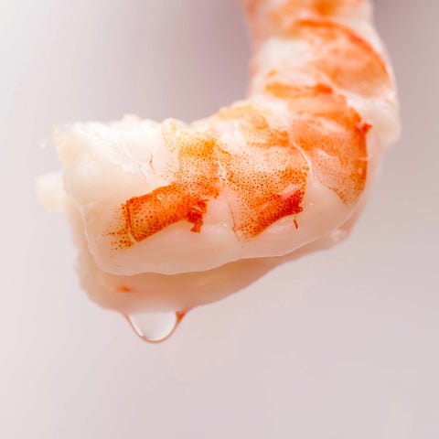 fresh colossal shrimp with a drop of water dripping off