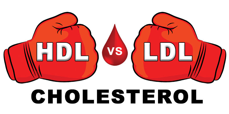 HDL VS LDL