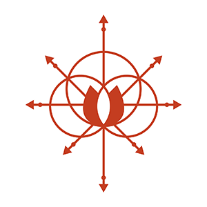 MovementLab IN-PERSON Class Passes AUTO-DISCOUNT -15% to -20% at checkout